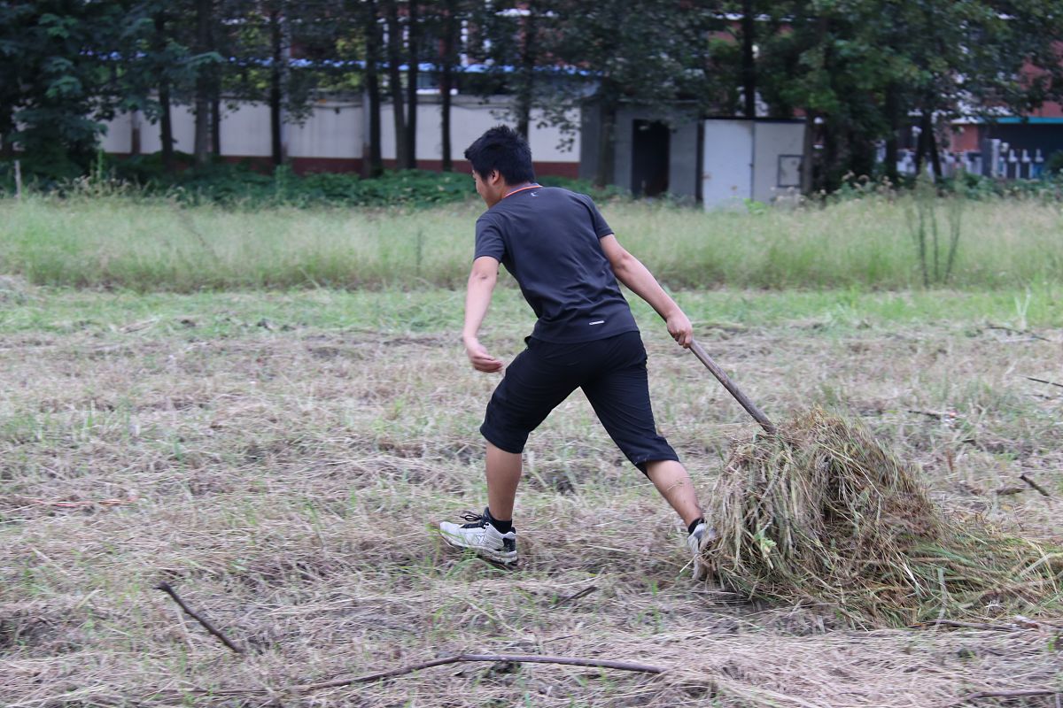 四川大学师范学院江安校区2019年招生简章