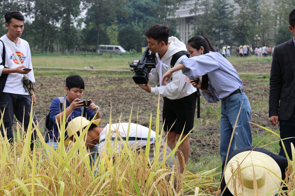 四川联合经济学院经济管理招生初中高中读专科