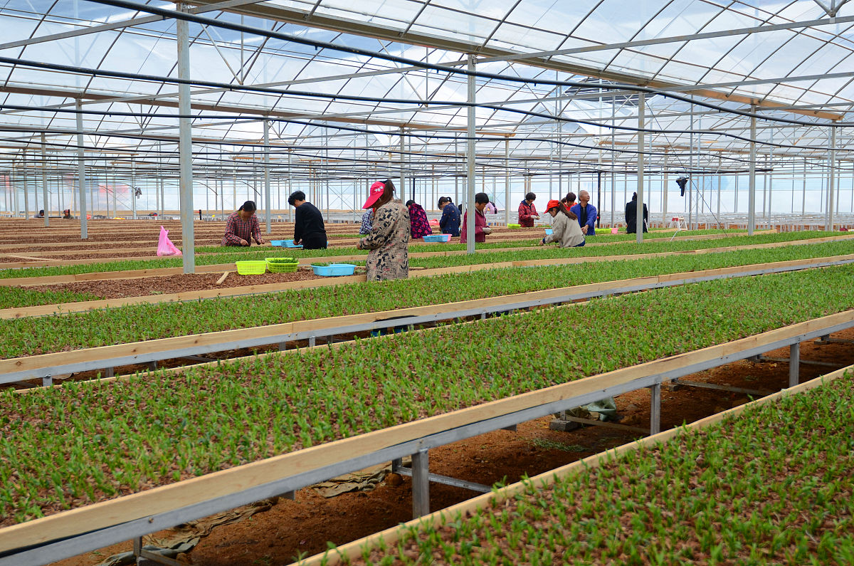 锦屏县中等职业学校2023年招生简章