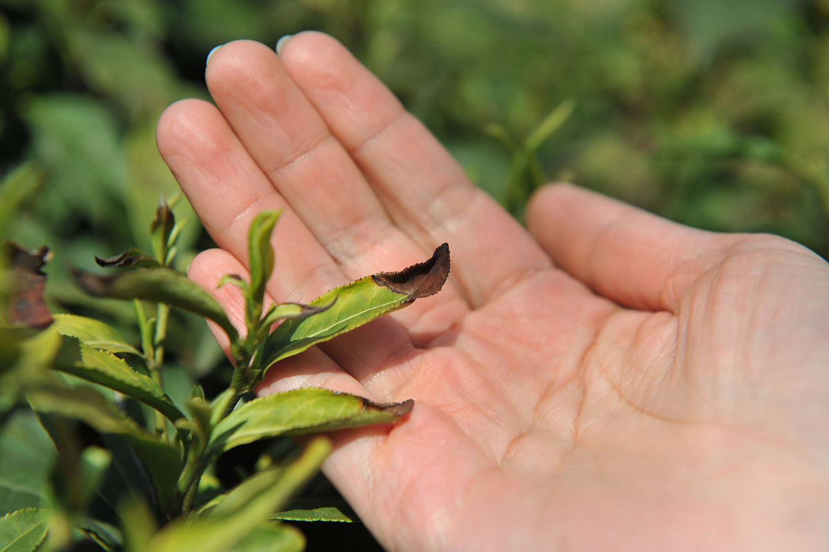 成都建筑学校毕业生就业难吗？| 就业率分析及建议