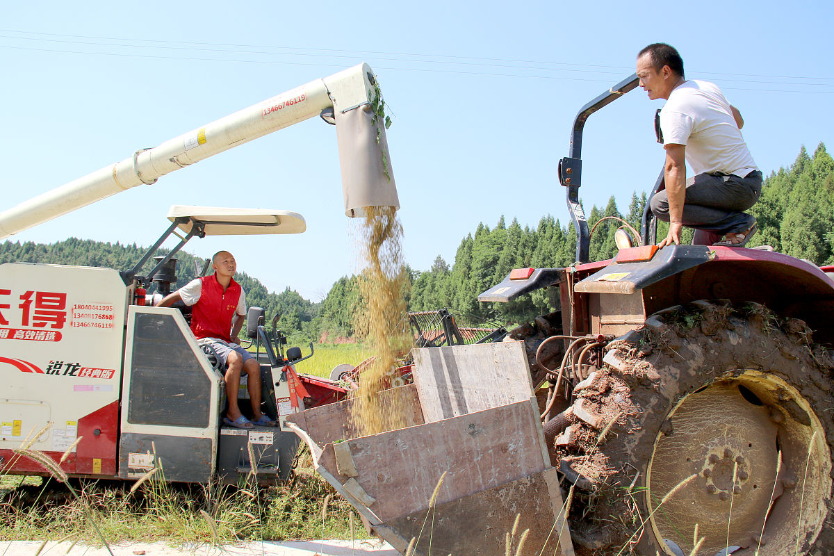 南充师范学校学前教育2020招生简章