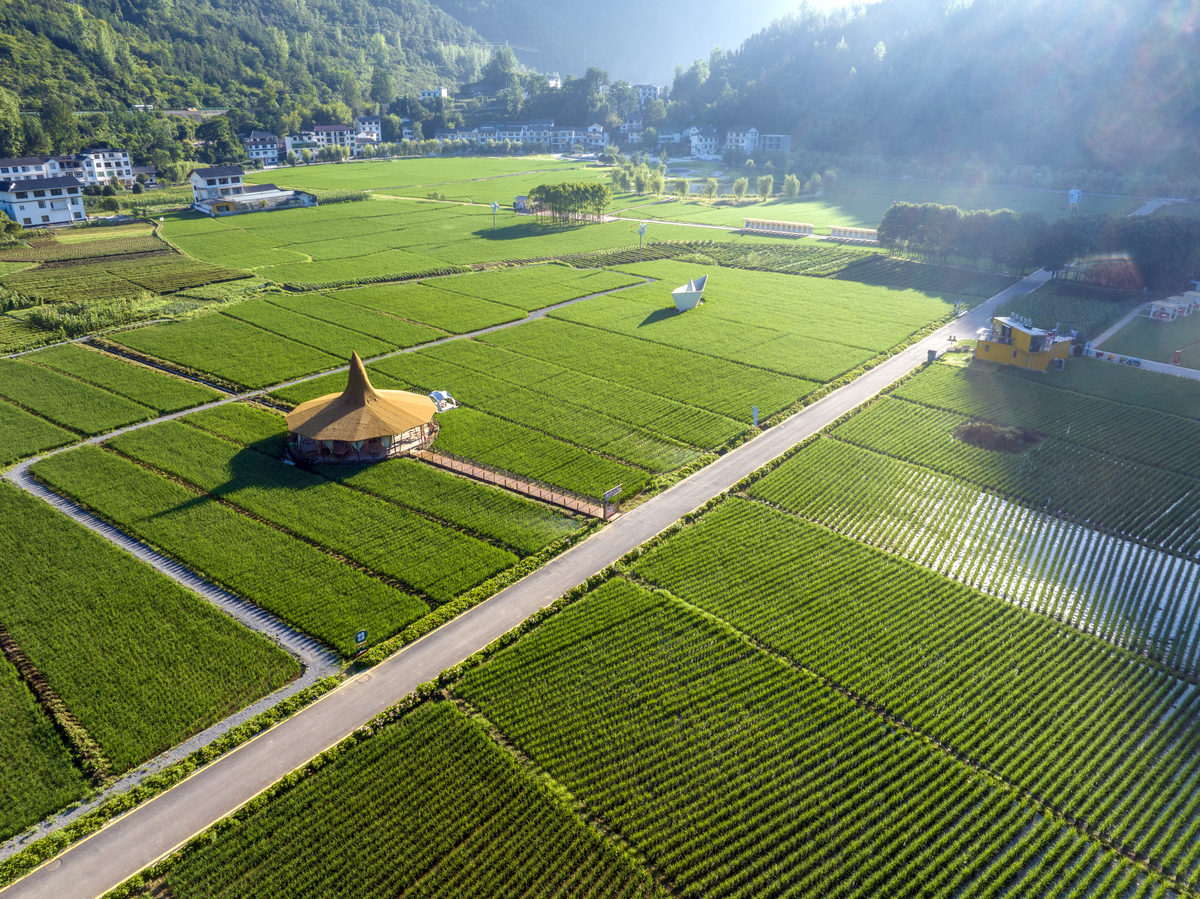 自行添加数据论述乡村振兴战略下周至县农村土地流转现状写成一段话形式不少于1000字。