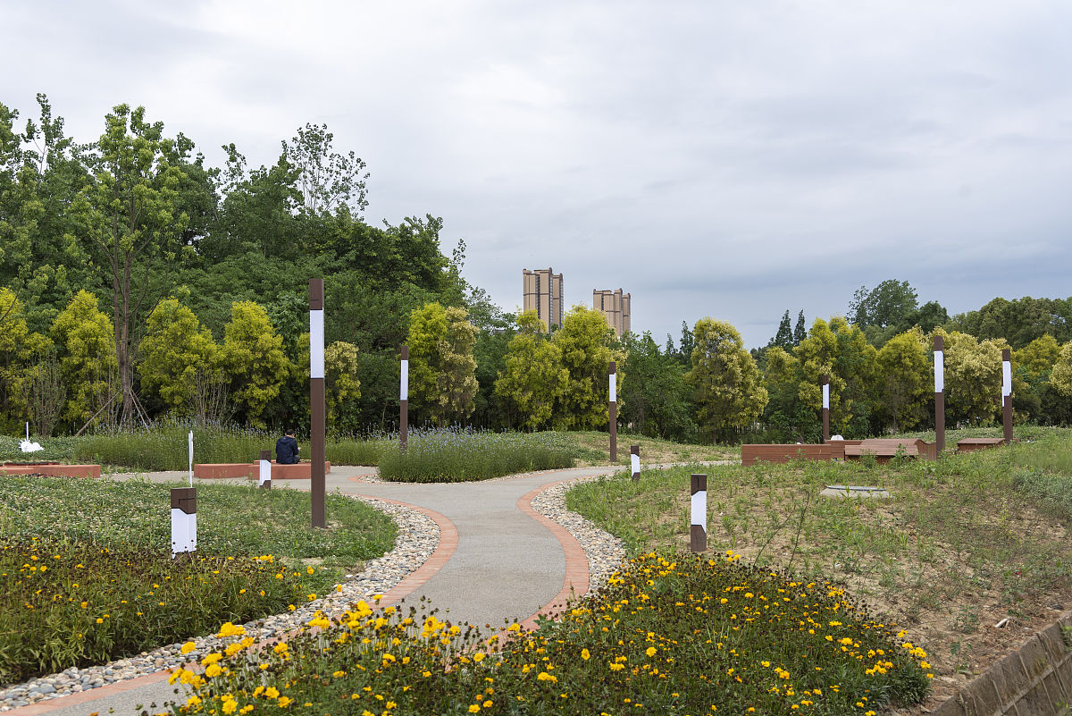 博爱胡公园植物景观质量评价：基于 SBE 法的 50 个样地分析