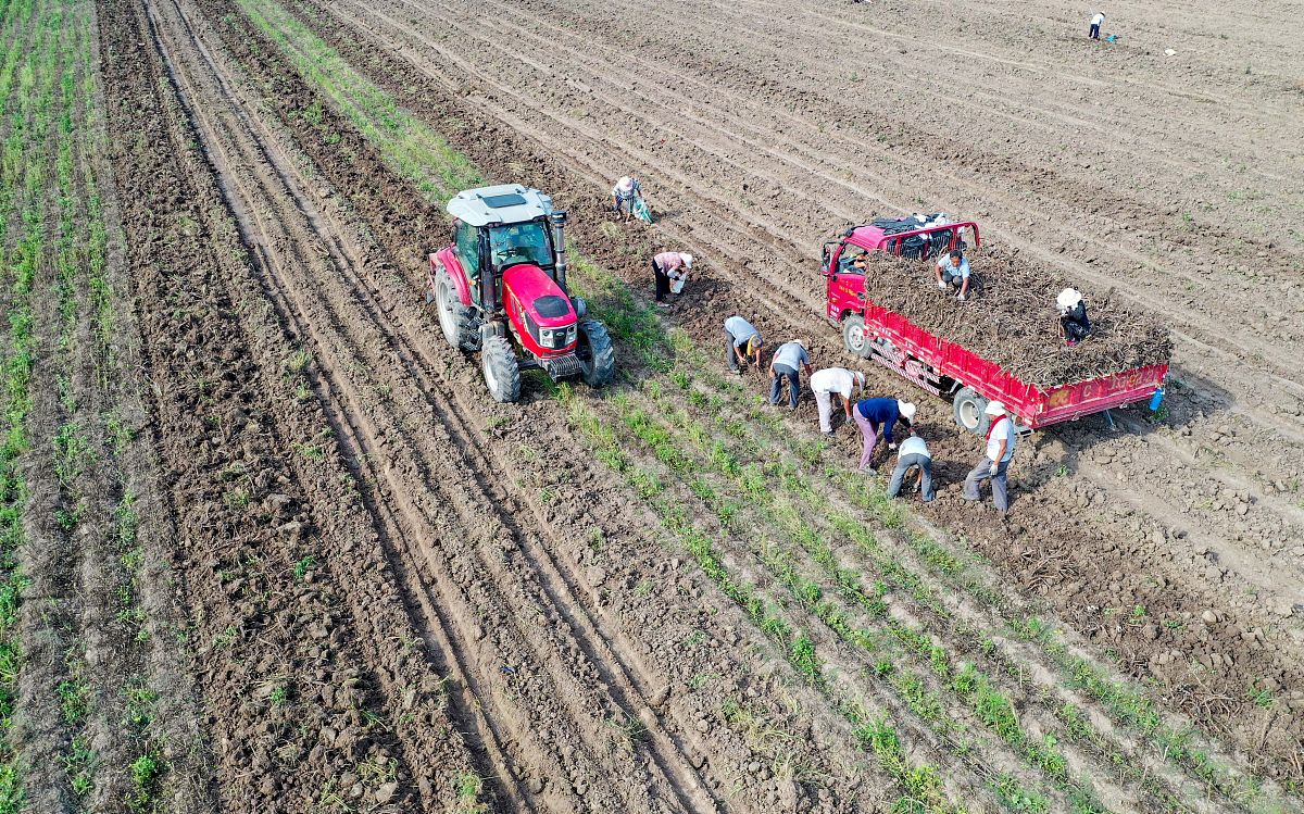 临洮农业学校2021年招生专业：农业机械化、资源环境、经济管理、生态保护