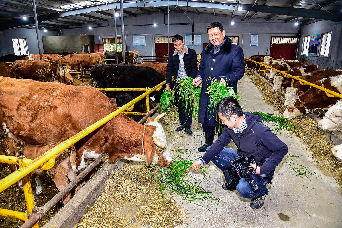 陕西铁路学校2023年招生：最新院校名单及发展趋势