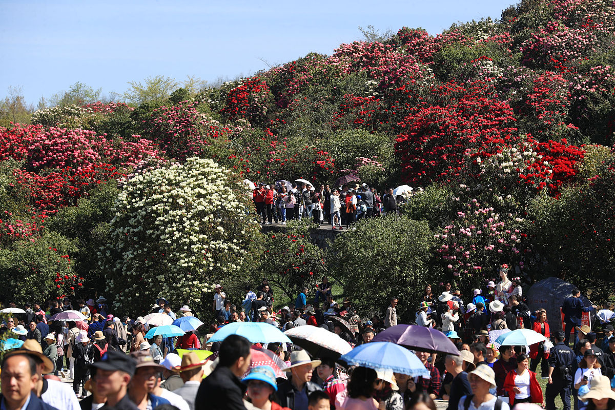 2019年贵州轻工职业技术学院中专部招生简章