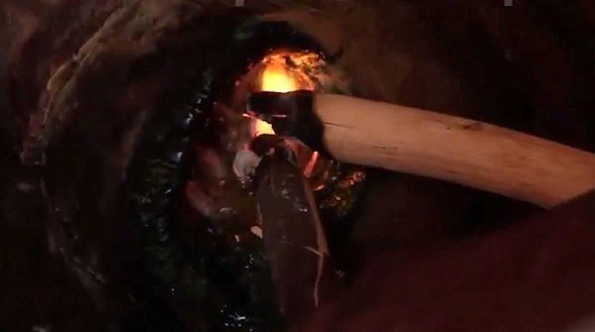 纪录片电影中期检查指导方案