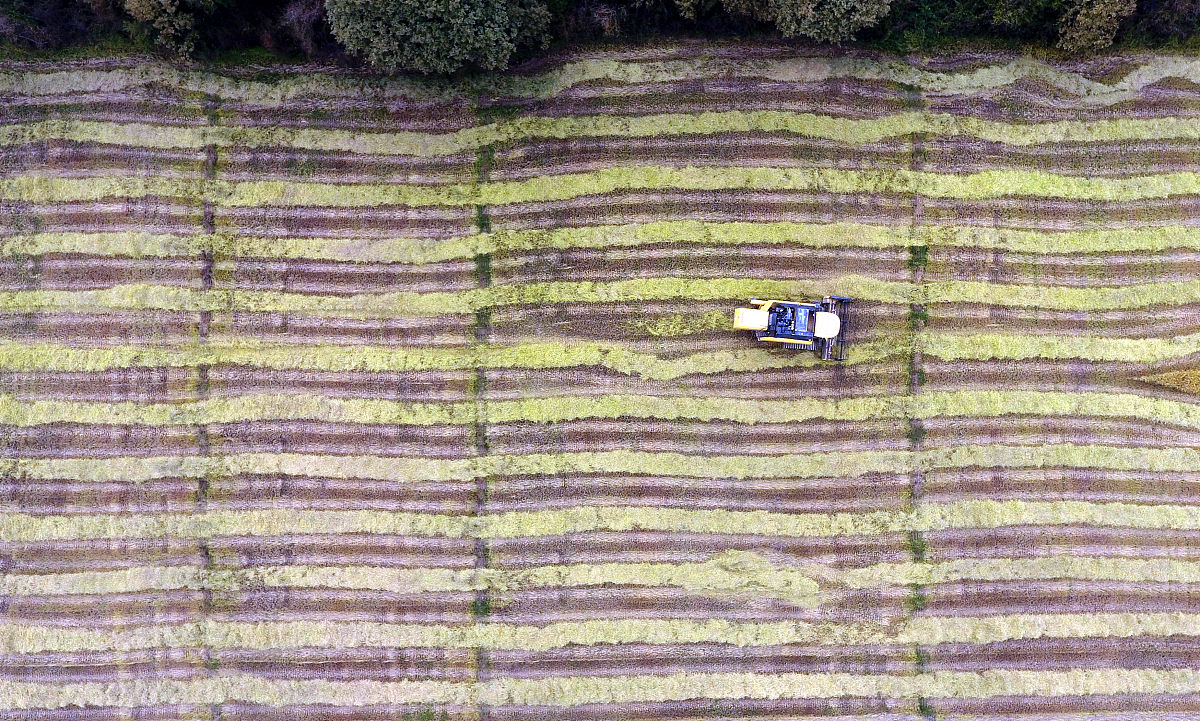 曲靖农业职业学校2019年五年制高职大专招生信息