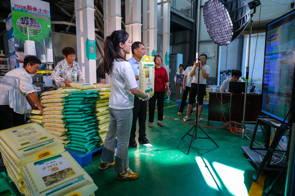 农村电商平台项目概述：助力乡村振兴，推动农业发展