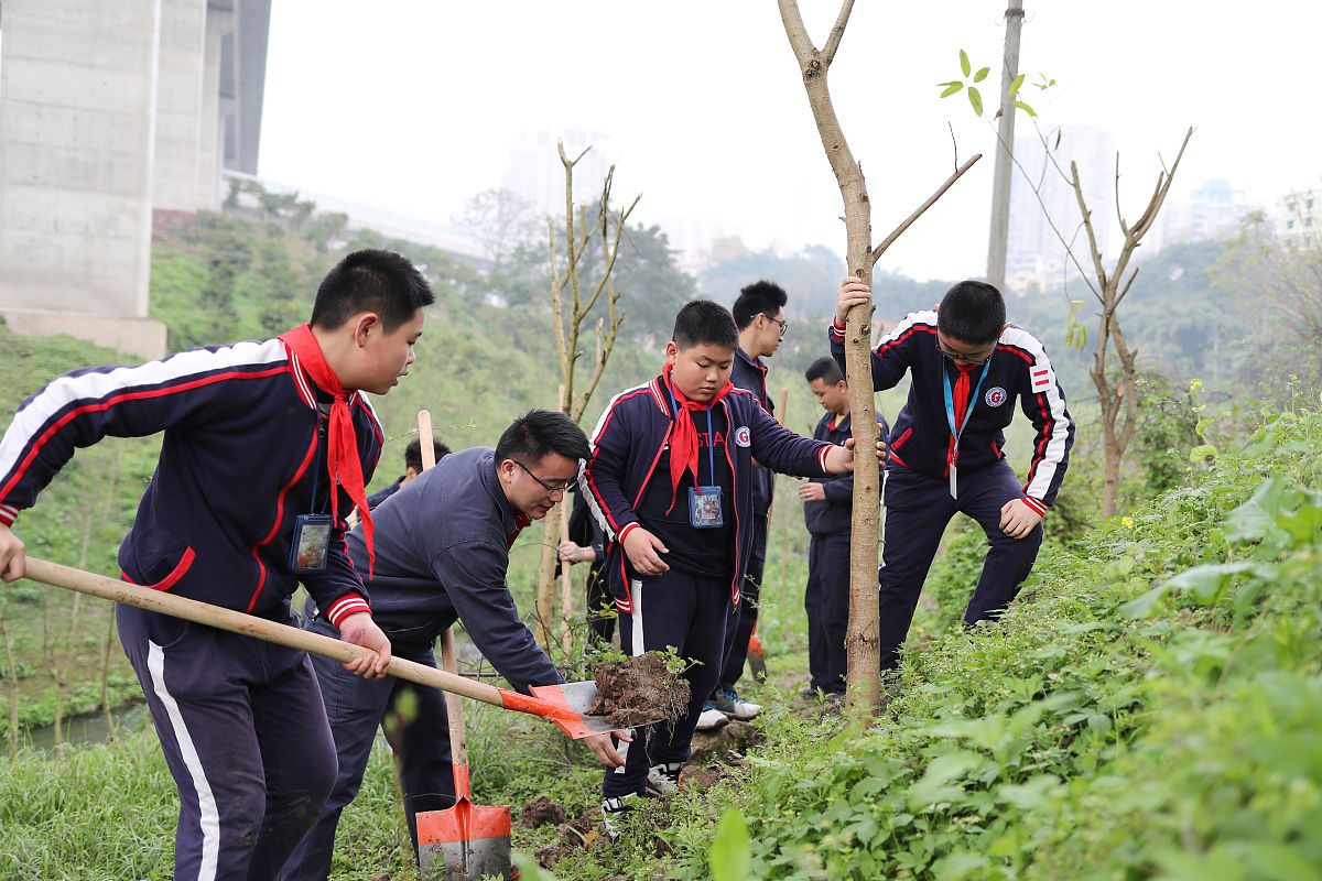 平坝区中等职业学校中草药种植专业：优势、劣势及发展方向