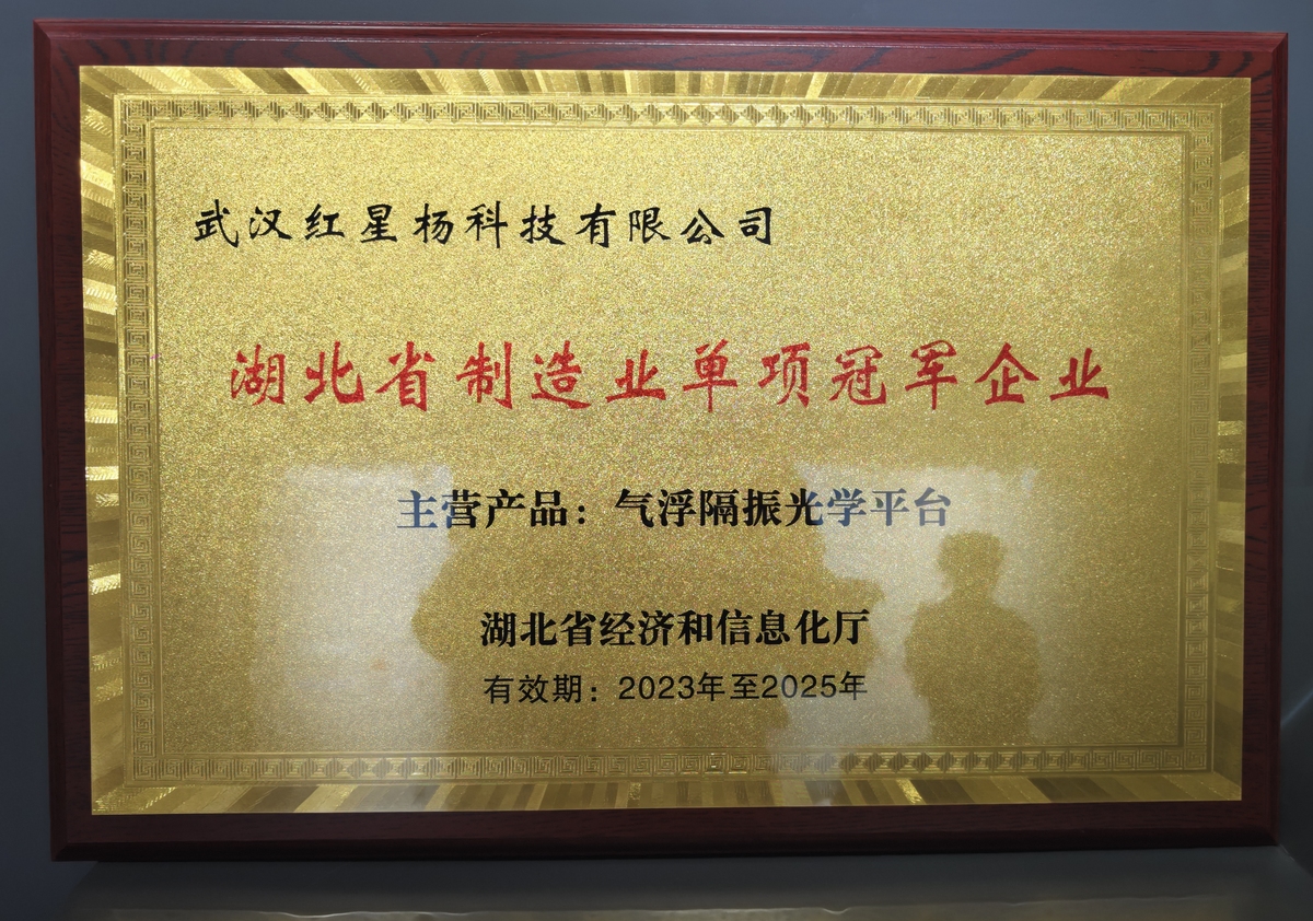 公司荣誉-医药行业领军企业 - [您的公司名称]