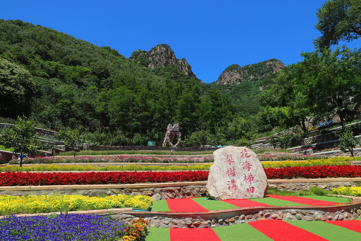 漫山花溪谷一日游新闻