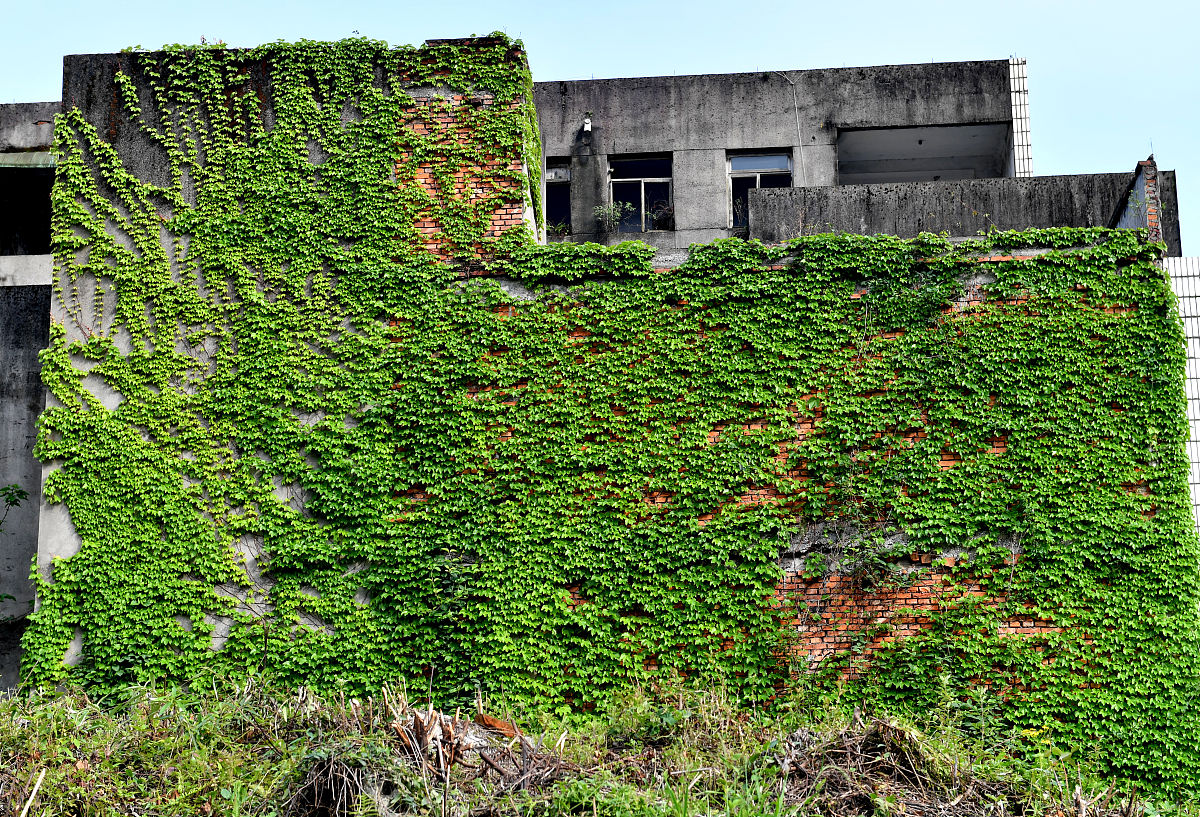 2019年绵竹职业中专学校中职中专招生简章