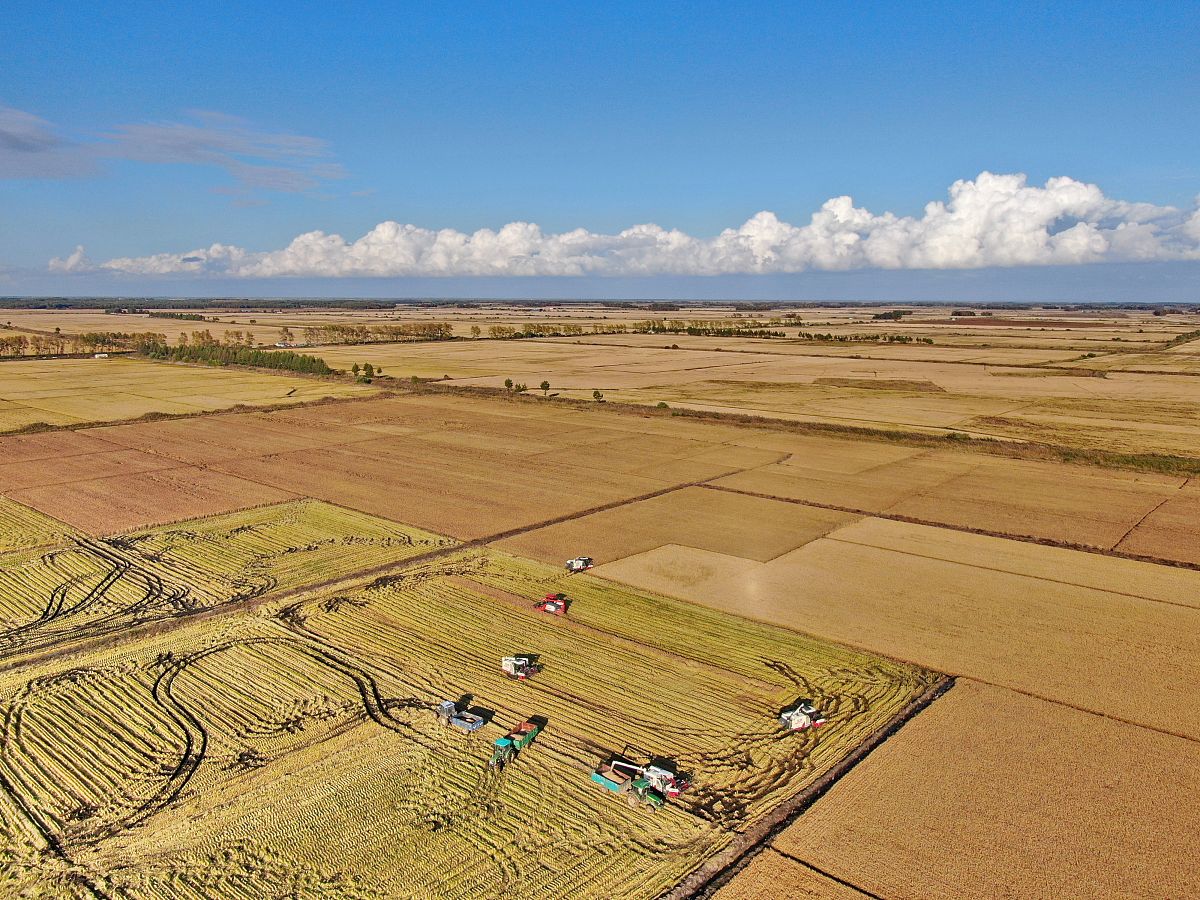 黑龙江农垦职业学院物联网应用技术专业优势怎么样发展前景好不好呢