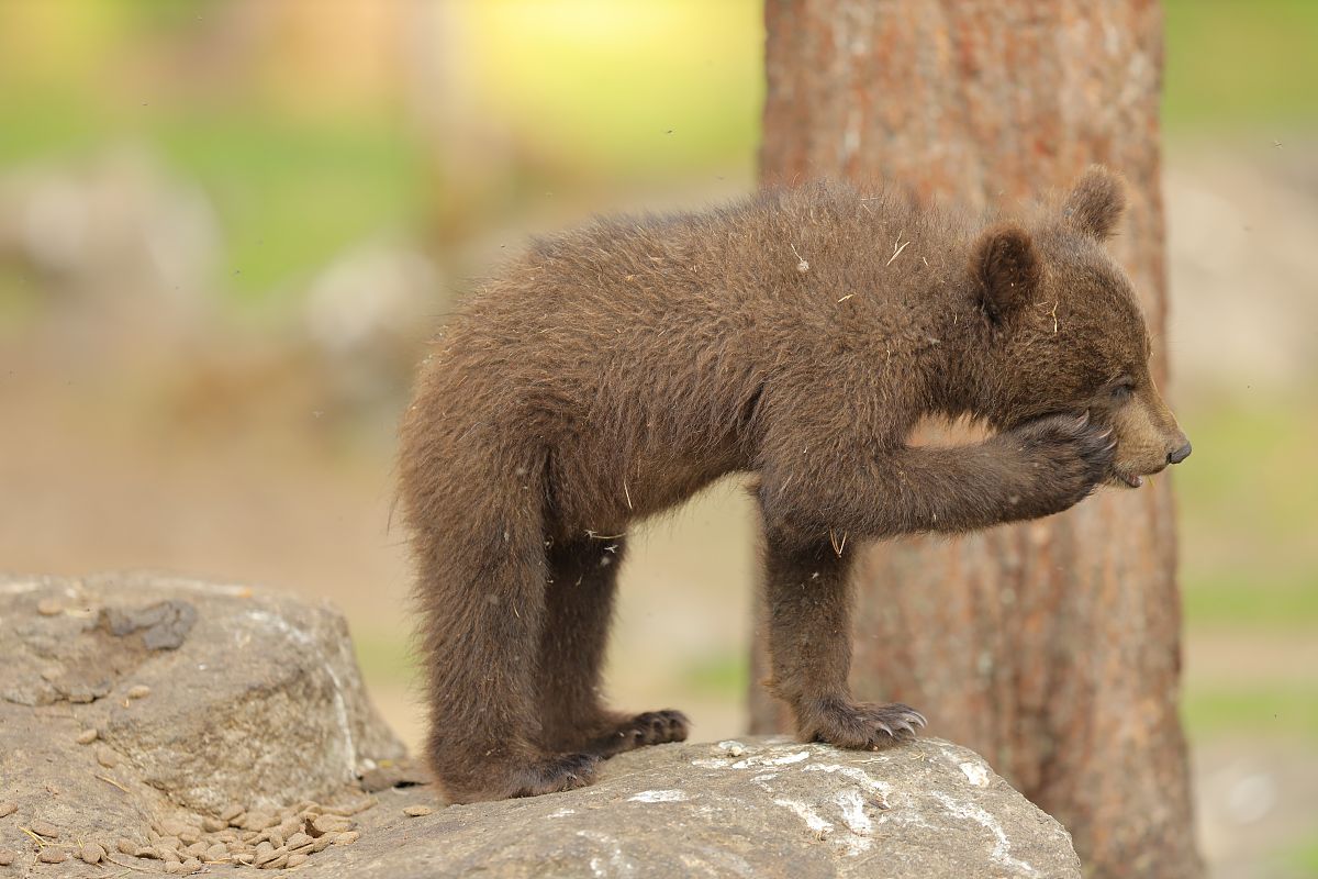 如何排解心情不好？ - 提供倾听和支持
