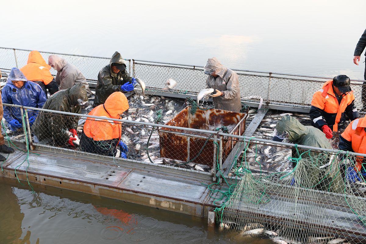 重庆三峡职业学院水产养殖技术专业怎么样都要学些什么内容
