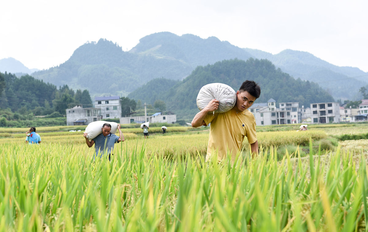 铜仁碧江区中等职业学校2021年招生简章 - 培养技能型人才，助力未来发展