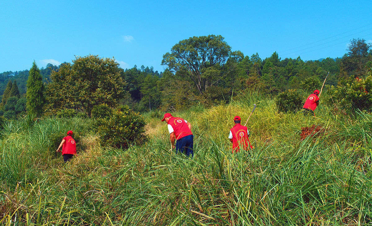 福建林业职业技术学院单招药剂专业好吗
