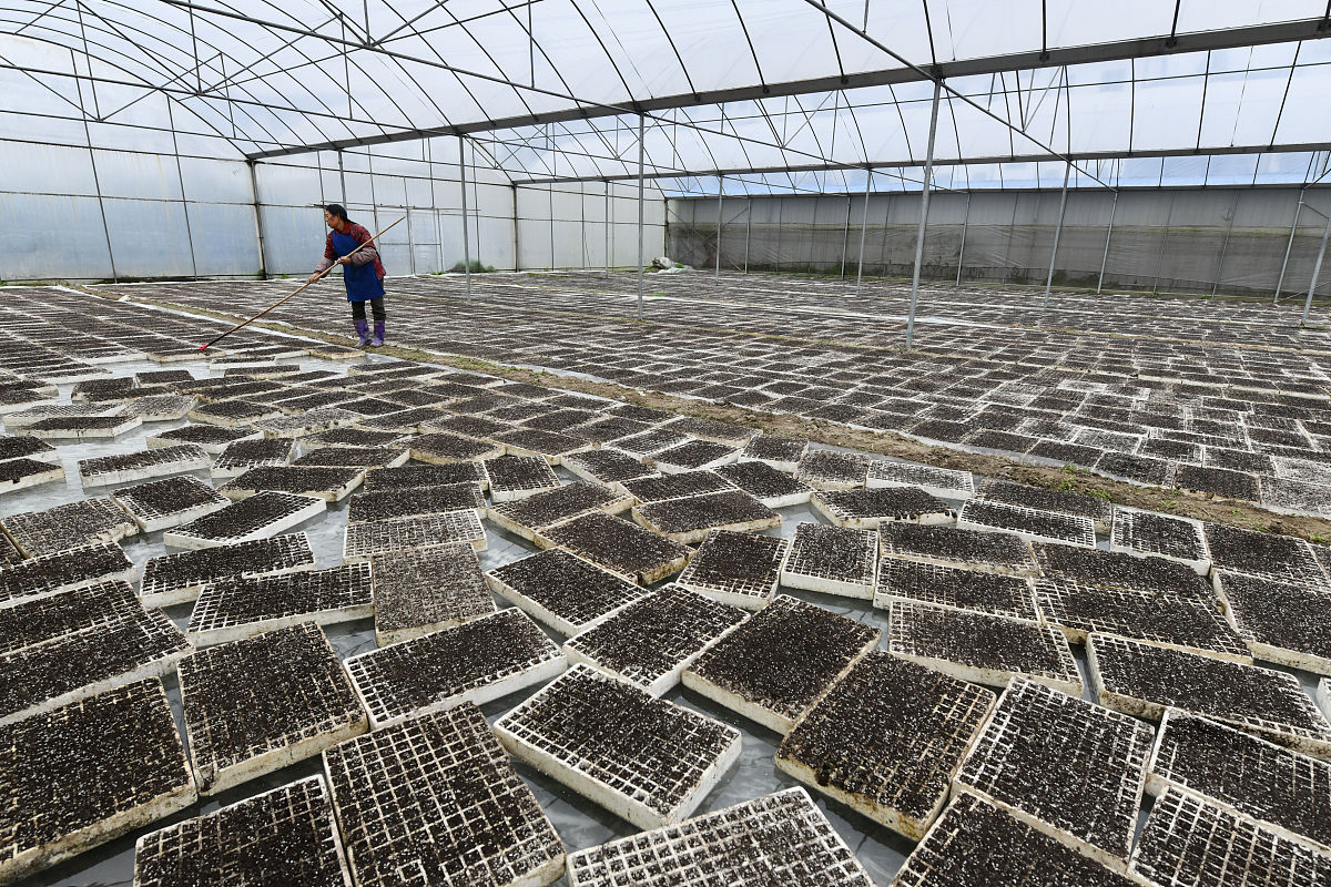 贵州农业机电学校2022年新开设专业：农业机械智能化、电子信息工程等