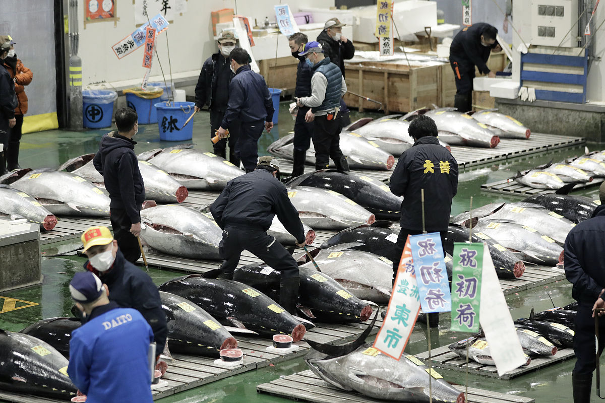 日本核污水排放对中日金枪鱼贸易的影响分析