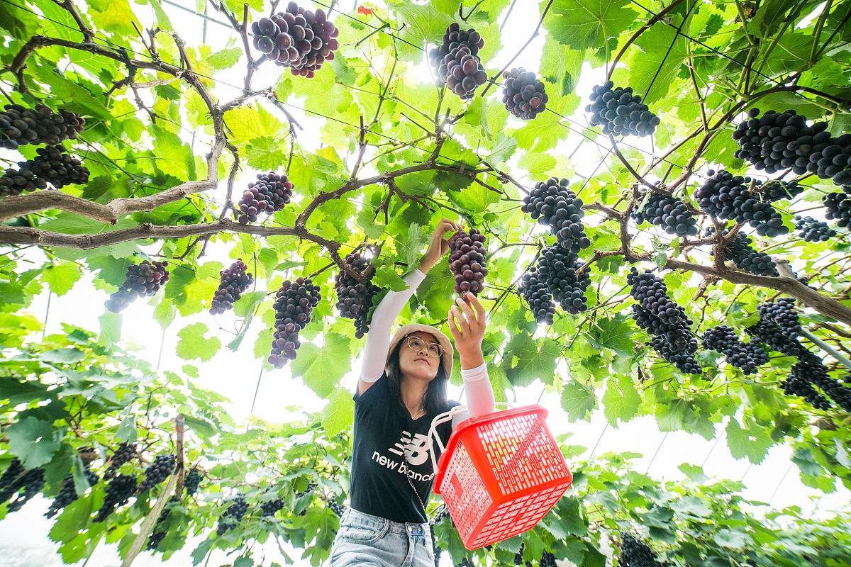 贵州毕节卫生学校王牌专业：临床医学专业解析