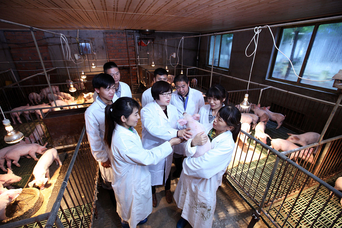 毕业后选择畜牧兽医专业就业方向有哪些