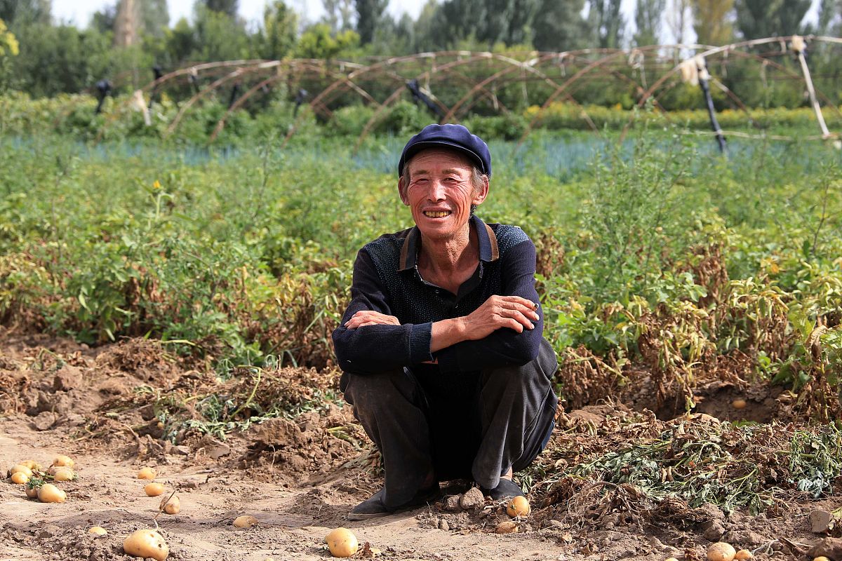 人物的名字叫林出生于1974年河南省淮滨县的乡村