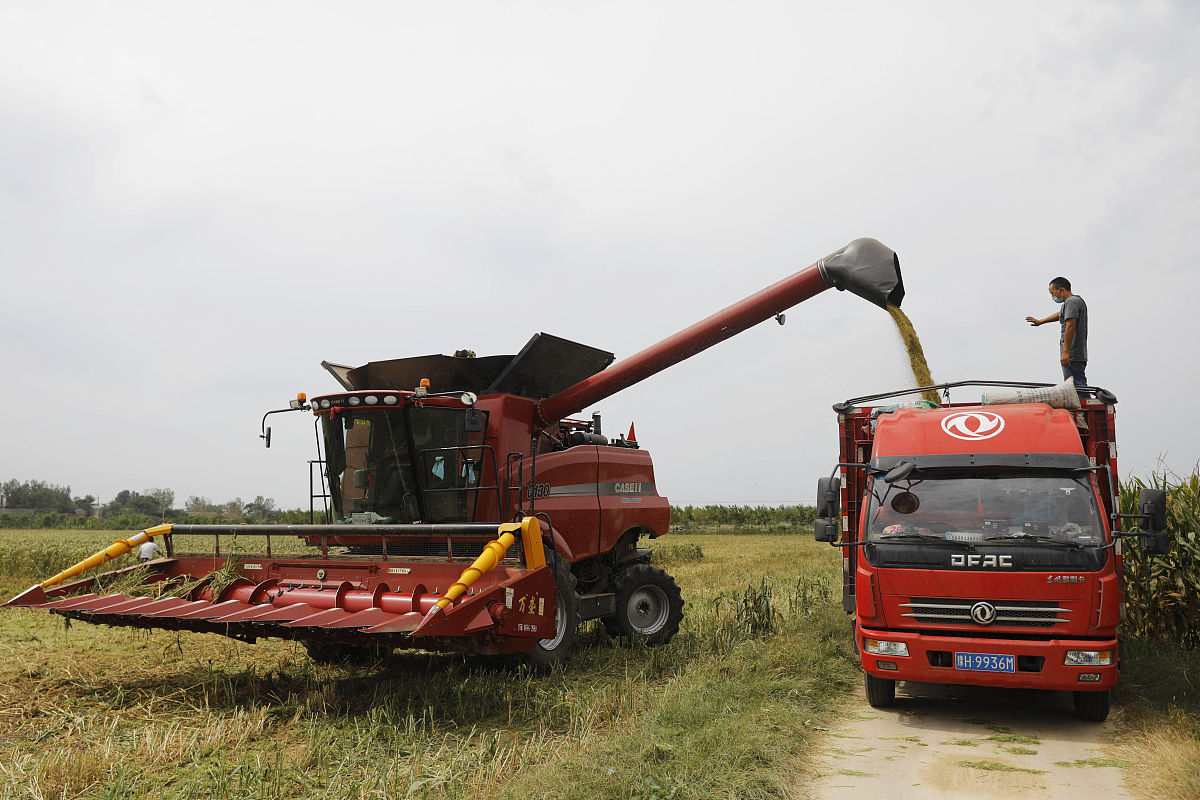 乡村公共文化建设现状调查：基于乡村振兴战略的探索