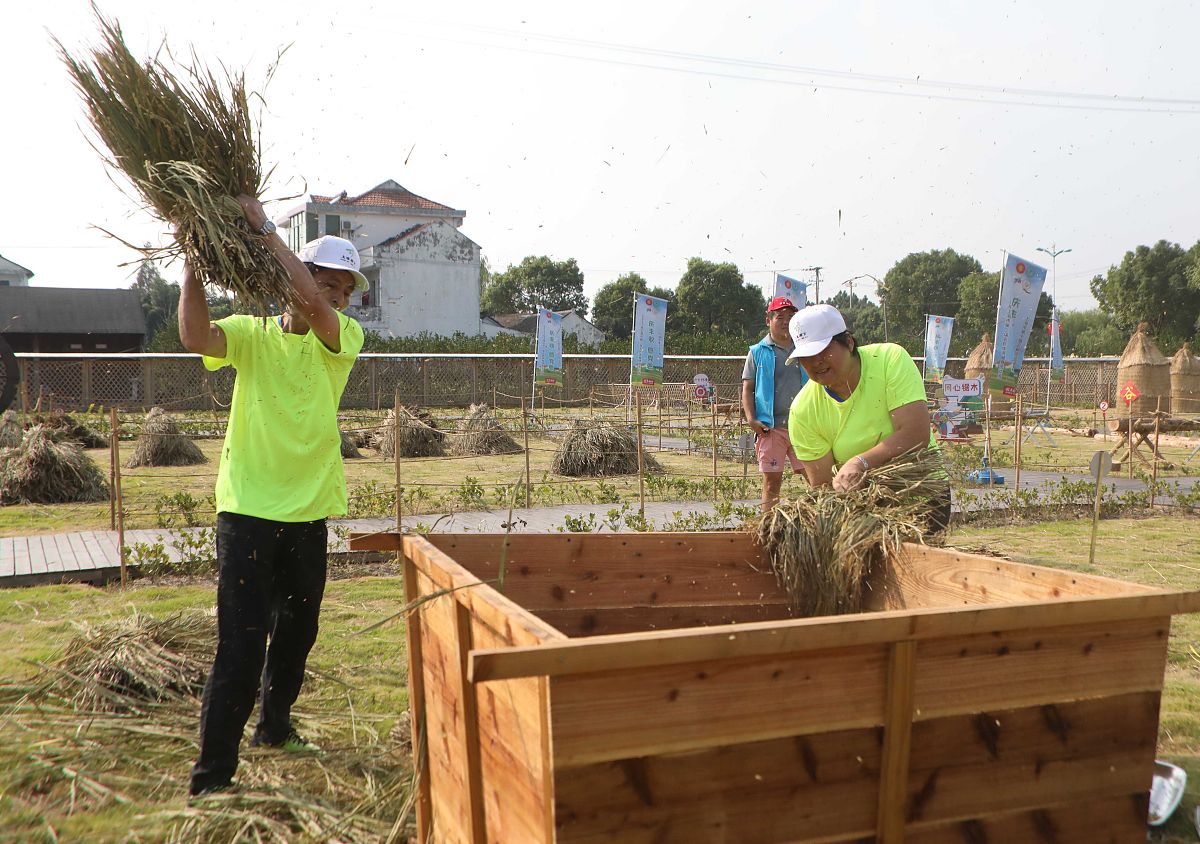 在那马镇农业服务中心第一天实习的日记