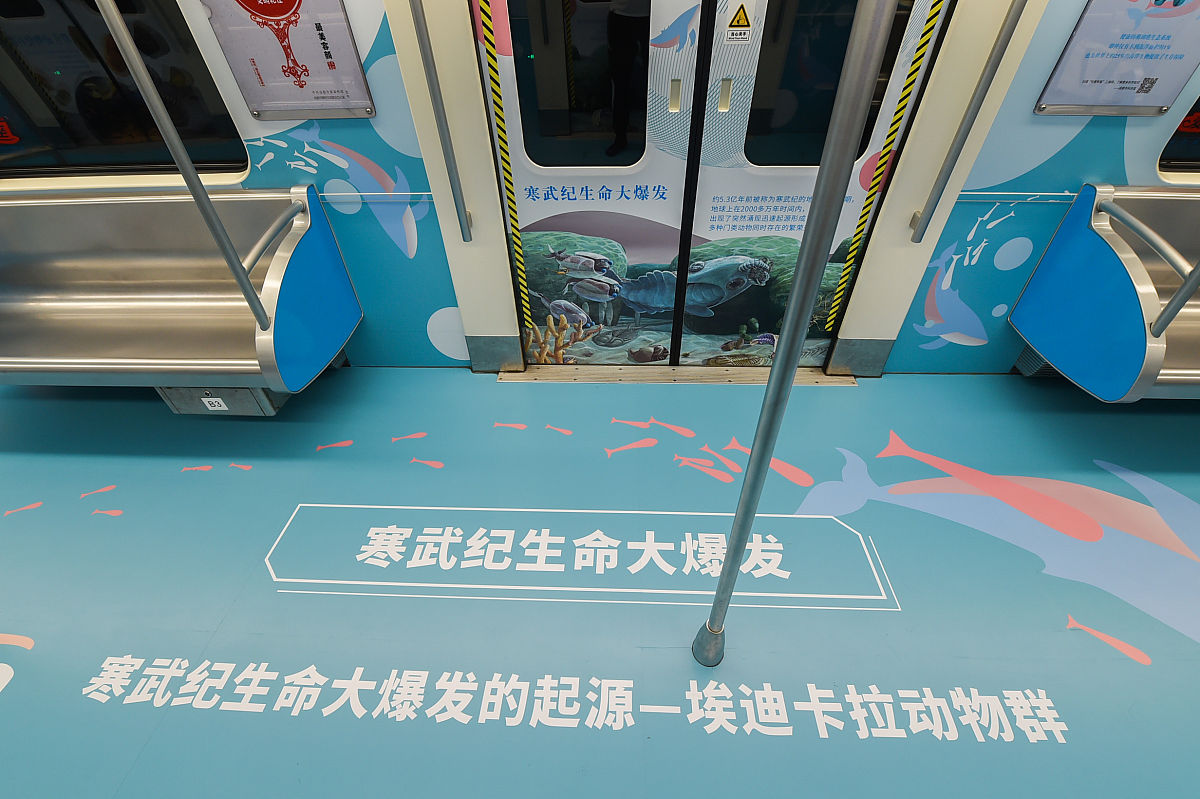 (如需下载使用,请务必署名 红星新闻 王欢/视觉中国)2020年8月31日,成