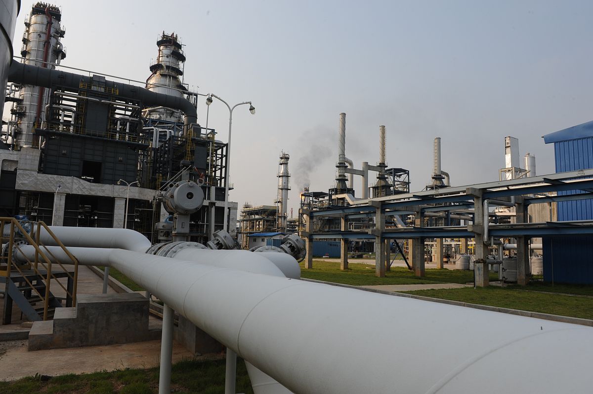 辽宁石化职业技术学院单招有药剂专业吗