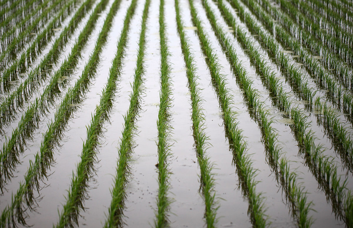 四川泸州财经学校2019年农业机械应用与维修专业招生