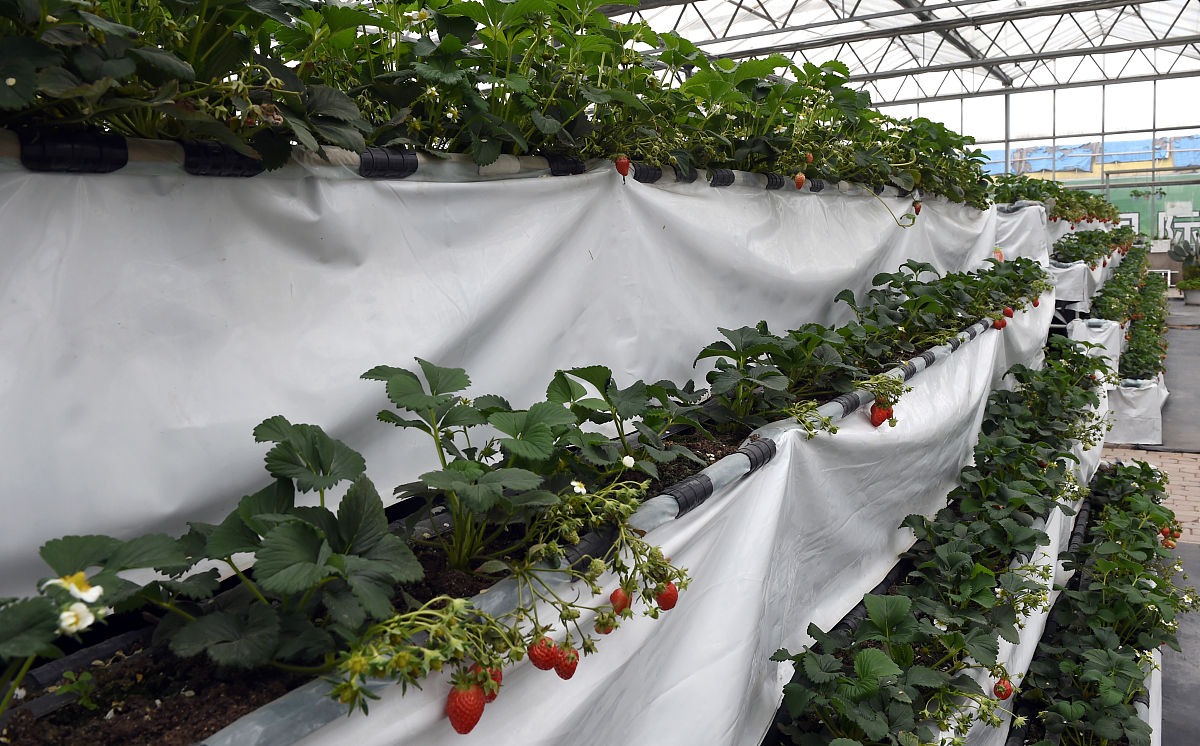 河南农业职业学院连锁经营管理专业怎么样？_热门专业介绍