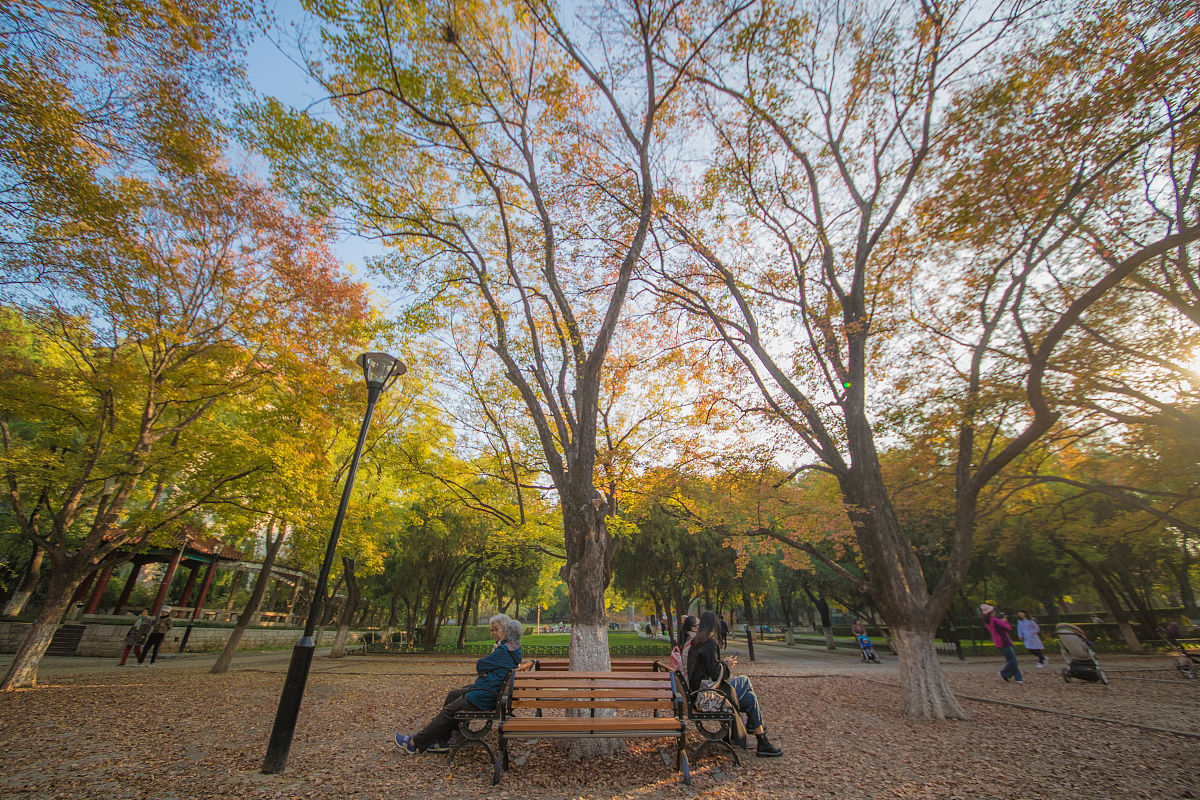 西南医科大学2019年招生简章