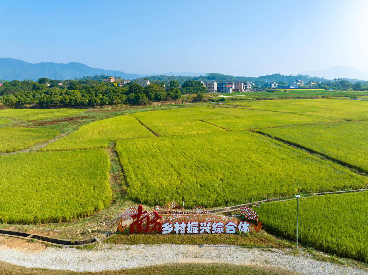 乡村振兴区的高质量发展1500字