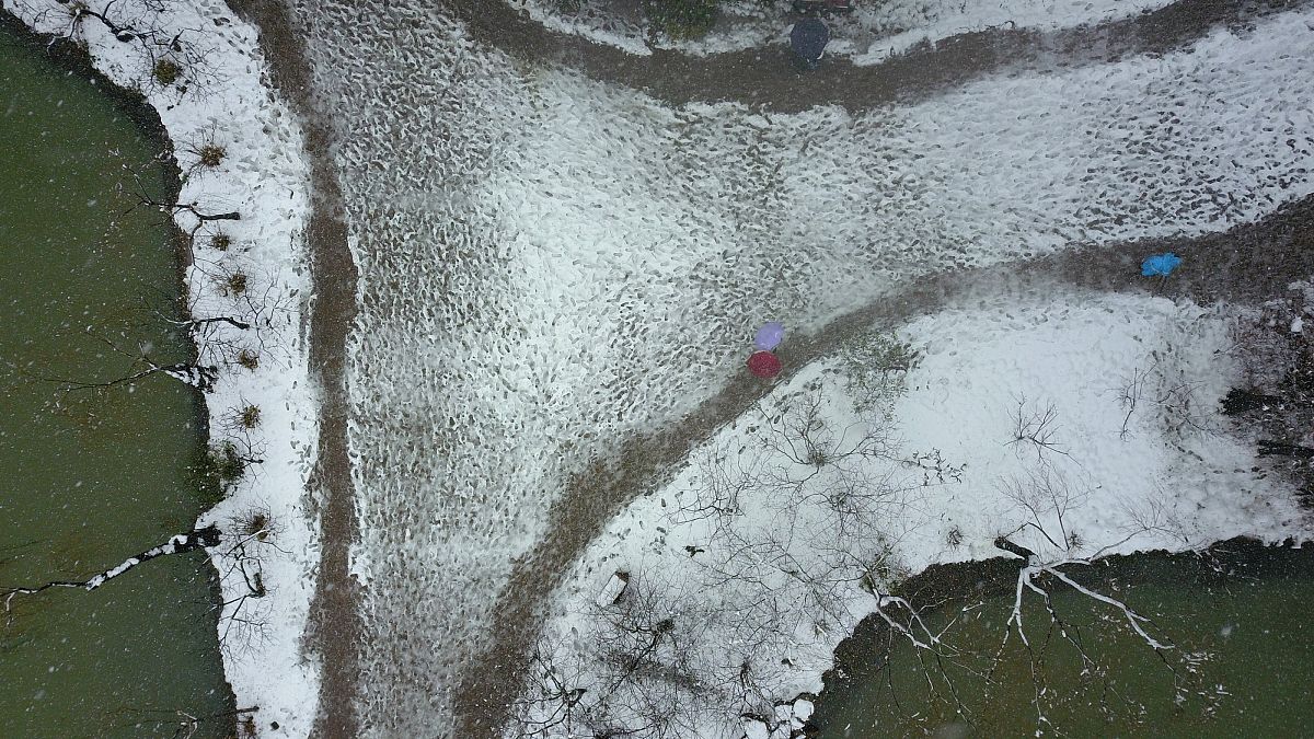 请翻译我们未在货物堆表面发现一些由汗湿引起的纵横交错的水滴痕迹。