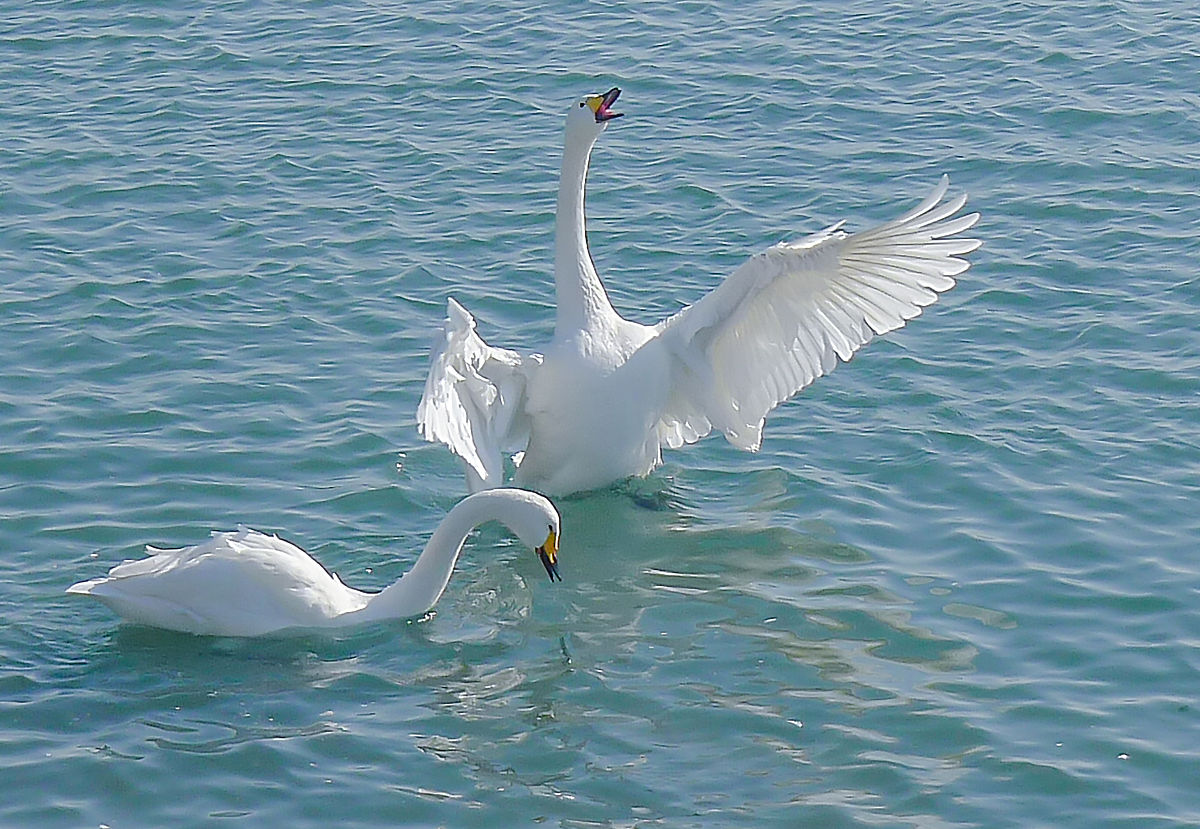威海海洋职业学院港口与航道工程技术专业课程设置及未来发展