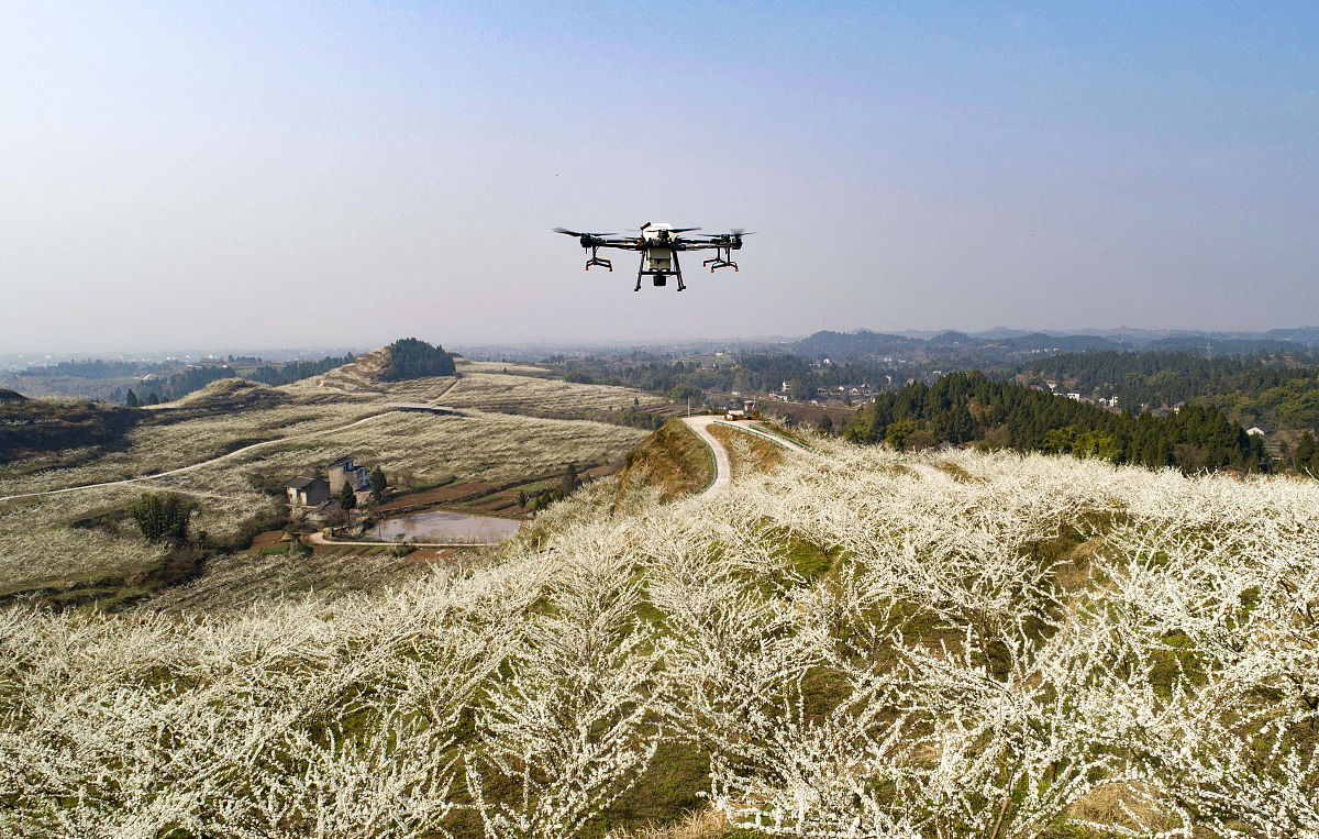 四川九洲技师学院地址、乘车路线及简介 - 技术人才培养基地
