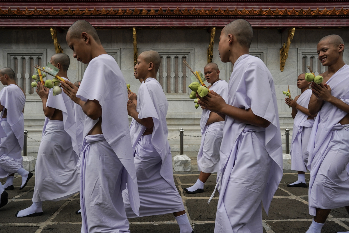 泰国的法律从哪个网站可以下载