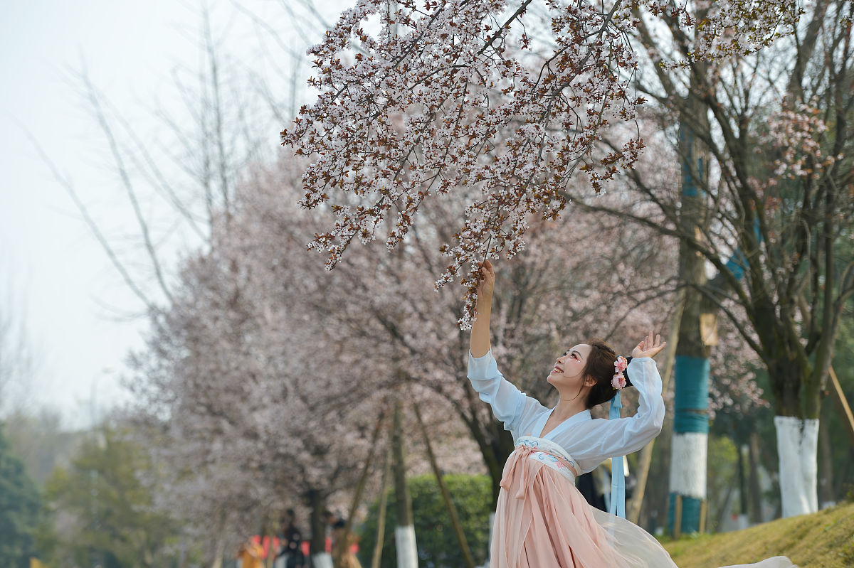 成都市技师学院2021年招生专业有哪些