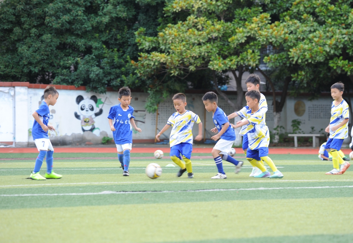 校园足球大赛：青春的激情与梦想
