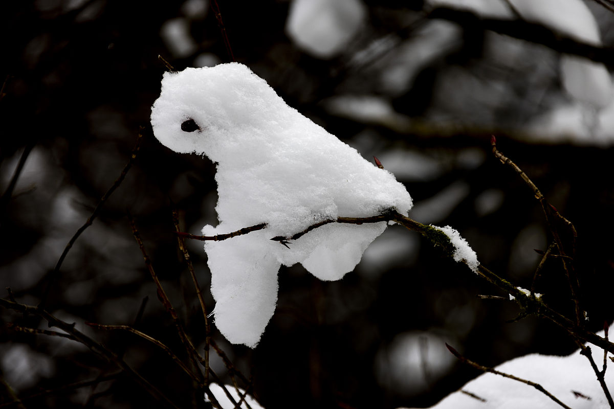 四川2022年：上中专好还是上高中好？适合你的教育道路选择