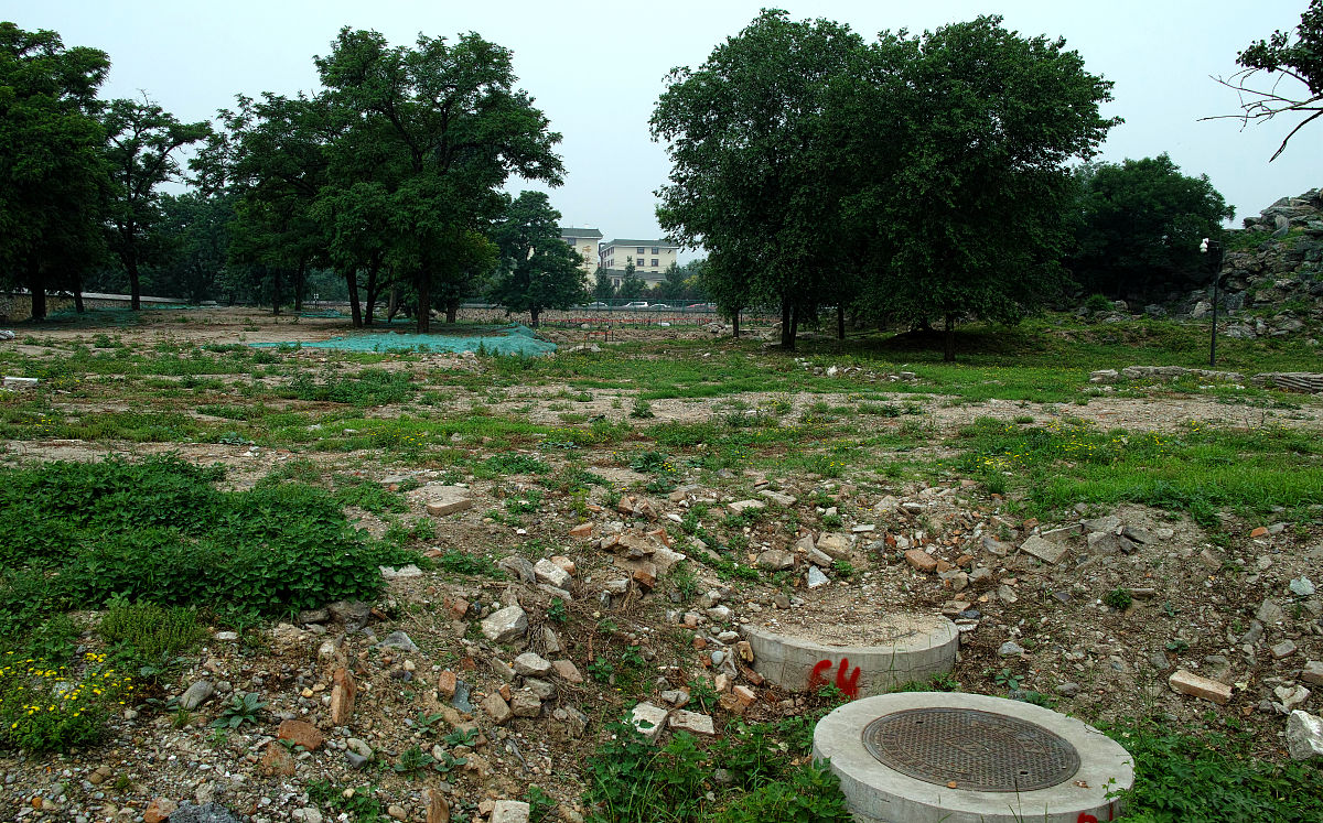 打造宜居家乡：2000字意见建议，改善环境，共建美好家园
