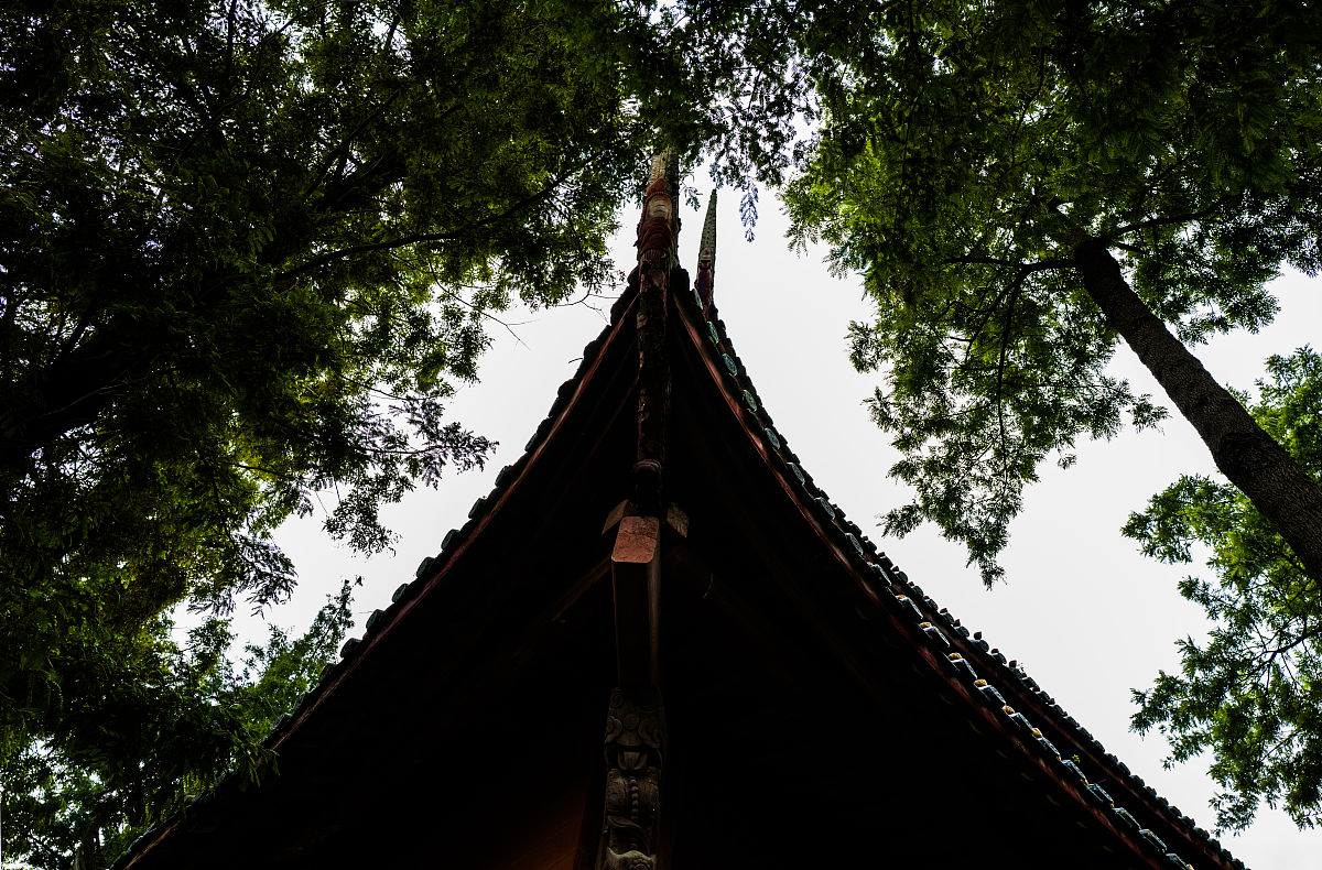 成都郫县希望职业学校会计专业：就业前景广阔，值得选择！
