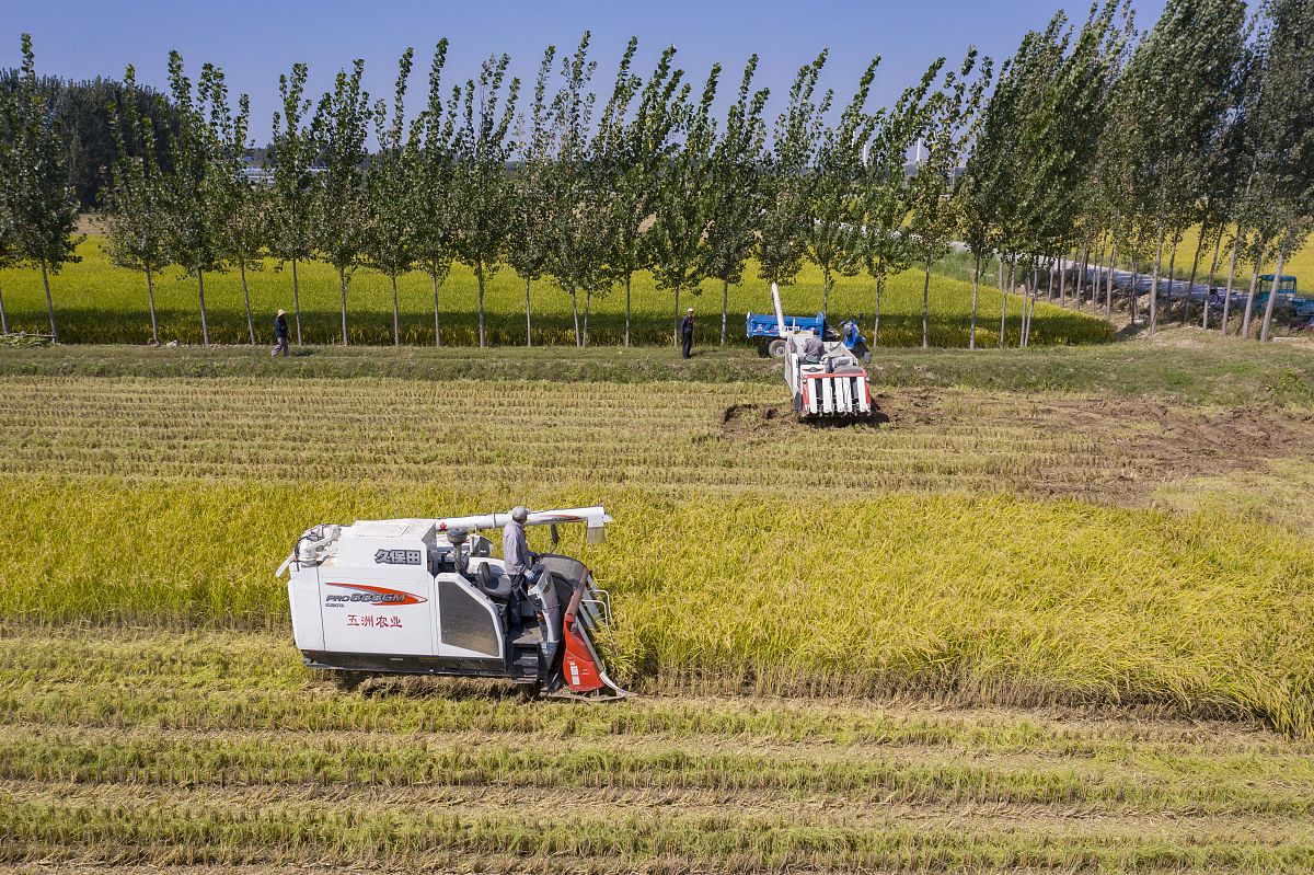 平凉农业学校2023年招生专业：农业机械化、农产品质量与安全等
