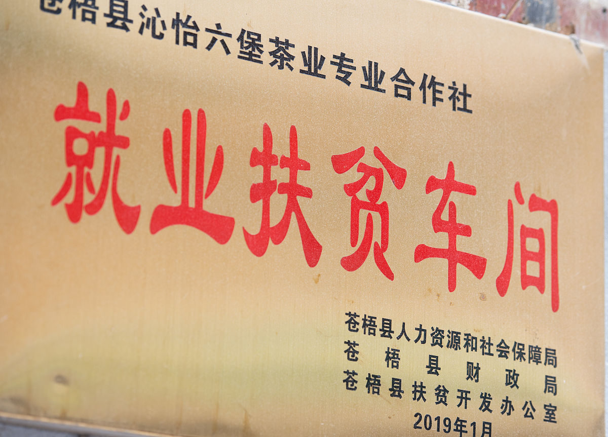 现代合作社的特点与传统合作社的区别