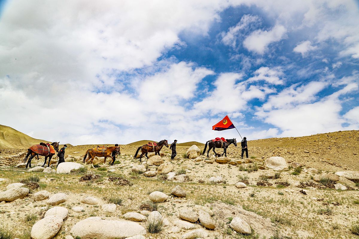 派出所见习报告：XXX的见习经历与体会