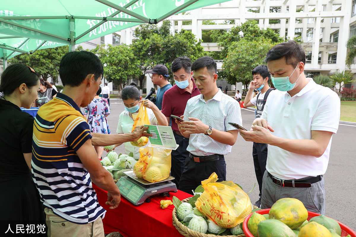 百色田东芒果文化节：如何提升旅游吸引力？