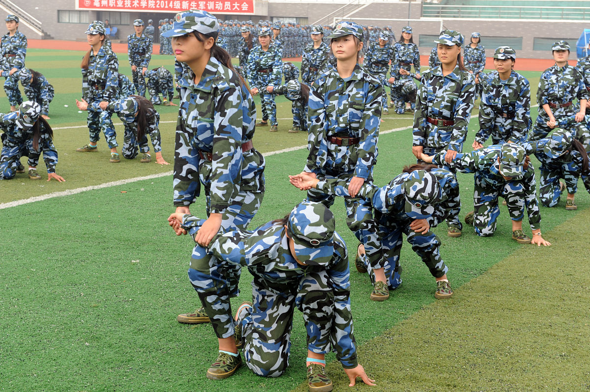 辽阳职业技术学院计算机应用技术专业都学些什么