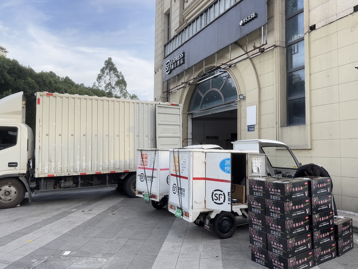 郑州市顺丰冷运的业务发展帮我用210字详细描述